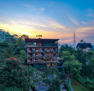 The Saray Munnar View